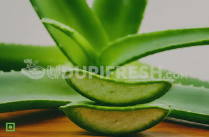 Fresh Aloe Vera Leaves 350 to 400 g