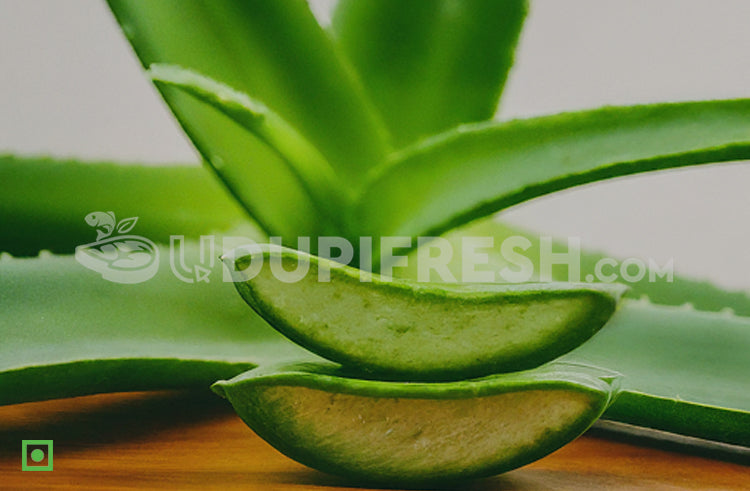 Fresh Aloe Vera Leaves 350 to 400 g