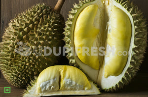 Malaysia Durian Fruit, 1 PC