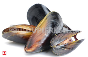 Fresh Mussels , 1 Kg