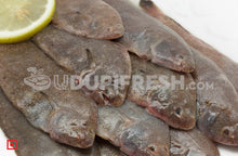 Load image into Gallery viewer, Nang – Sole Fish/ನಾಂಗ್  ಮೀನು(1 Kg) Medium Size (5551521038500)
