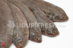 Nang – Sole Fish/ನಾಂಗ್  ಮೀನು(1 Kg) Medium Size (5551521038500)