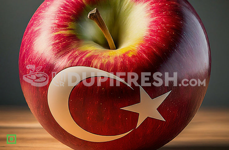 Turkish Apple, Regular