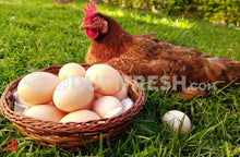 Load image into Gallery viewer, Country Egg 6 Pcs
