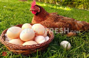 Country Egg 6 Pcs