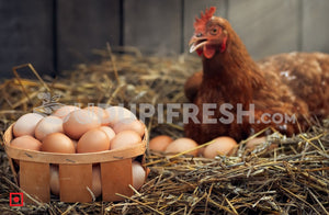 Country Egg 6 Pcs