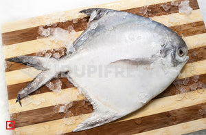 Maanji – White Pomfret( 1 Kg) Big Size (5551447539876)