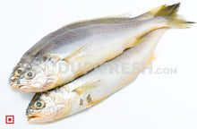 Load image into Gallery viewer, Kallur – Yellow Croaker- Big 1 Kg (5626369605796)
