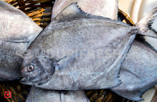 Load image into Gallery viewer, Maanji – Pomfret (500gms) (5551383019684)
