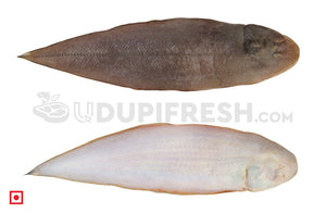 Nang – Sole Fish/ನಾಂಗ್  ಮೀನು(1 Kg) Medium Size (5551521038500)