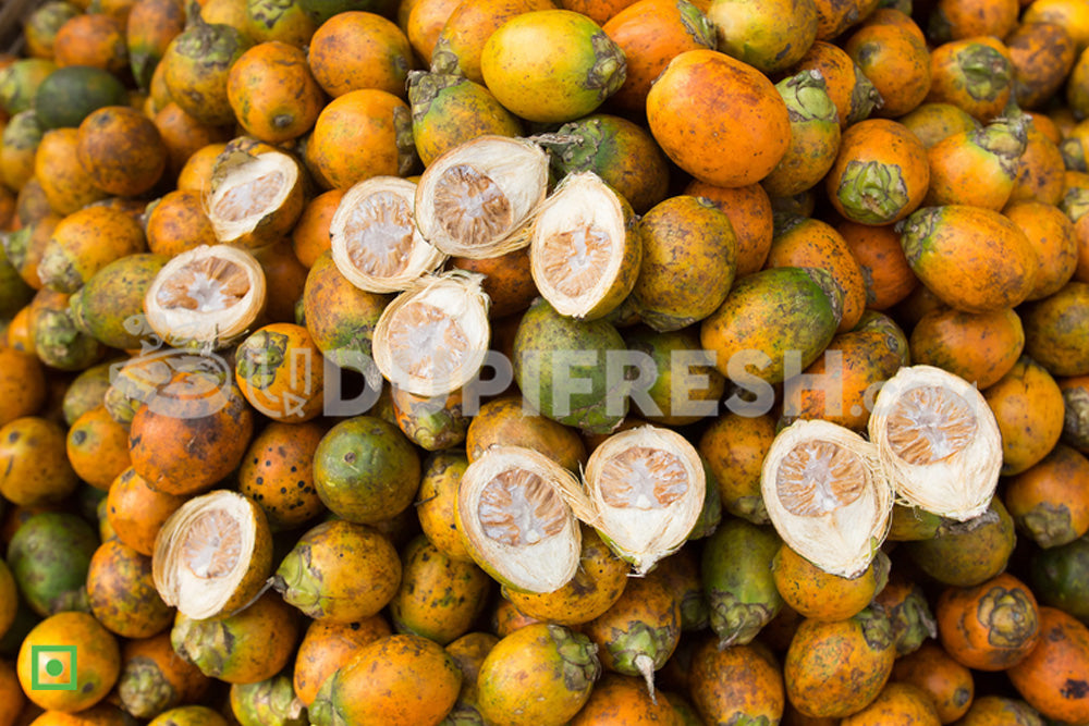 Areca Nut, 3 pc