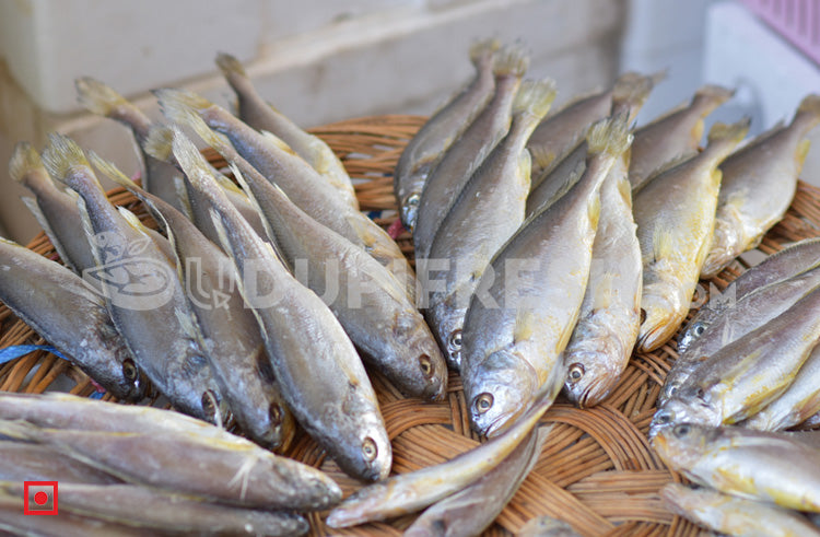 Kallur – Yellow Croaker(1 kg) (5551273083044) (5626369605796)