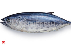 Kedar – Tuna Fish/ಟ್ಯೂನ ಮೀನು(1Kg) (5551329214628)