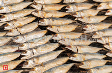 Load image into Gallery viewer, Dried Mackerel/ಒಣಗಿದ  ಬಂಗಡೇ , 5 pcs (5561182650532)
