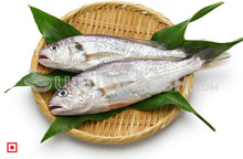 Load image into Gallery viewer, Kallur – Yellow Croaker(1 kg) (5551273083044)
