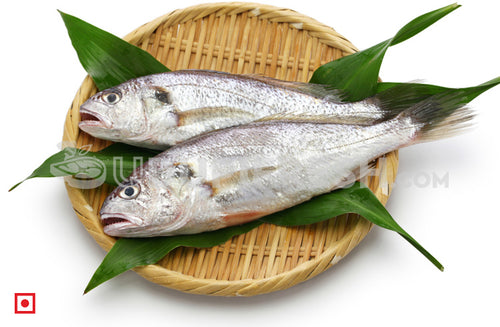 Kallur – Yellow Croaker(1 kg) (5551273083044)