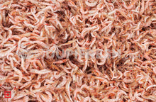 Load image into Gallery viewer, Small Dried Fish Prawns/ ಒಣಗಿದ  ಸೀಗಡಿಗಳು- 100 g (5561170919588)
