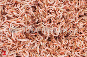 Small Dried Fish Prawns/ ಒಣಗಿದ  ಸೀಗಡಿಗಳು- 100 g (5561170919588)
