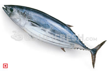 Load image into Gallery viewer, Kedar – Tuna Fish/ಟ್ಯೂನ ಮೀನು(1Kg) (5551329214628)

