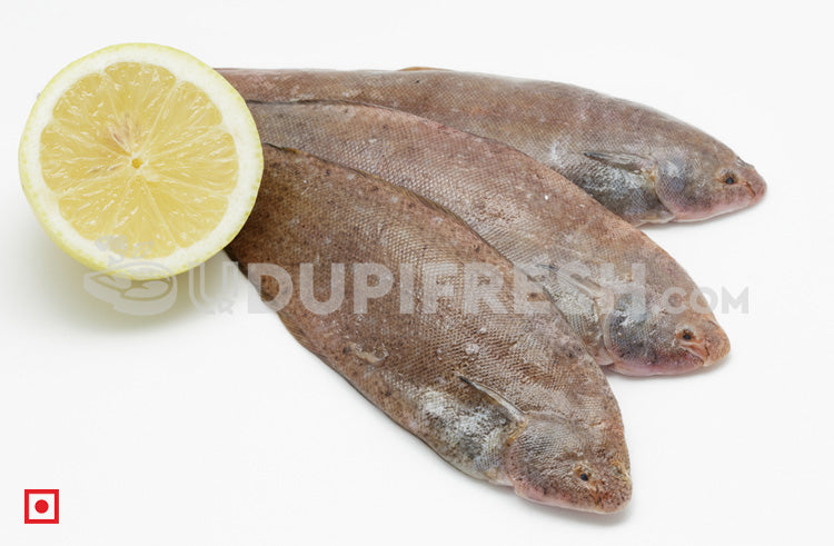 Nang – Sole Fish/ನಾಂಗ್  ಮೀನು(1 Kg) Medium Size (5551521038500)
