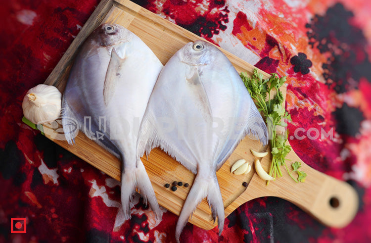 Maanji – White Pomfret( 1 Kg) Medium Size (5551456583844)