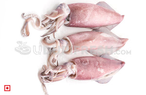 Bondas – Squid( 500 gms)Medium size (5550996979876)