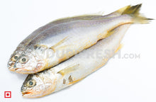 Load image into Gallery viewer, Kallur – Yellow Croaker(1 kg) (5551273083044) (5626369605796)
