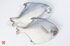 Maanji – White Pomfret( 1 Kg) Small Size (5551462809764)