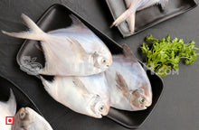 Load image into Gallery viewer, Maanji – White Pomfret( 1 Kg) Medium Size (5551456583844)
