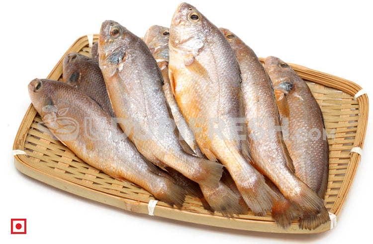 Kallur – Yellow Croaker(1 kg) (5551273083044) (5626369605796)