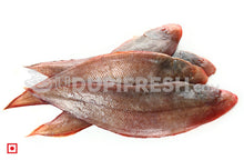 Load image into Gallery viewer, Nang – Sole Fish/ನಾಂಗ್  ಮೀನು(1 Kg) Medium Size (5551521038500)
