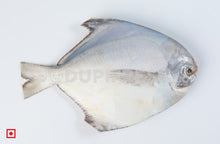 Load image into Gallery viewer, Maanji – White Pomfret( 1 Kg) Small Size (5551462809764)
