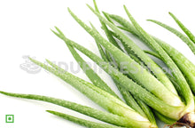 Load image into Gallery viewer, Fresh Aloe Vera Leaves
