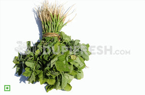 Amaranthus - Green, 250 g (5560462147748)