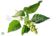 Load image into Gallery viewer, Amaranthus - Green, 250 g (5560462147748)
