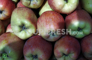 Apple - Shimla, 500 g (5556085325988)