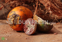Load image into Gallery viewer, Areca Nut, 3 pc

