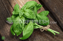 Load image into Gallery viewer, Basil , 100 g
