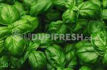 Load image into Gallery viewer, Basil , 100 g
