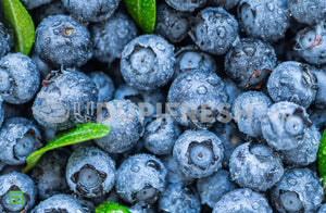 Fresh Blueberry 125 g