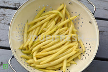 Load image into Gallery viewer, Fresh Peeled Butter Beans, 500 g
