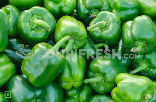 Capsicum - Green/ಕ್ಯಾಪ್ಸಿಕಂ - ಹಸಿರು, 500 g (5560364400804)