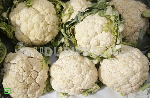 Cauliflower/ಹೂಕೋಸು, 1 pc approx. 400 to 600 gm (5560293359780)