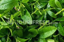 Load image into Gallery viewer, Ceylon Spinach / Nela Basale , 500 g
