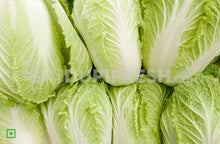 Load image into Gallery viewer, Chinese cabbage, 800 - 1.1 Kg
