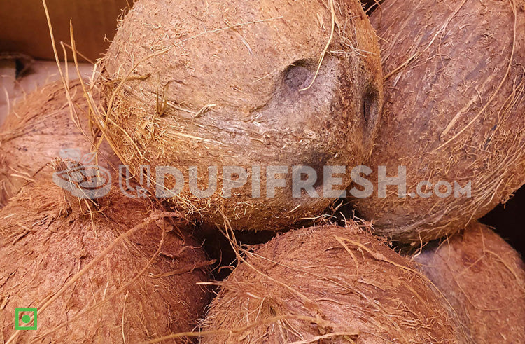 Coconut , Big size 1 pc – UDUPI FRESH