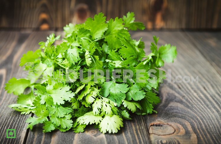 Coriander Leaves/ಕೊತ್ತಂಬರಿ ಎಲೆಗಳು, 100 g (5560270192804)