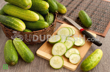 Load image into Gallery viewer, Cucumber/ಸೌತೆಕಾಯಿ, 1 Kg (5560261935268)
