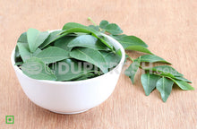 Load image into Gallery viewer, Curry Leaves/ಕರಿಬೇವು, 100 g (5560257282212)
