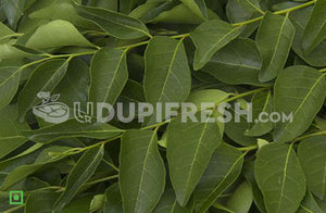 Curry Leaves/ಕರಿಬೇವು, 100 g (5560257282212)